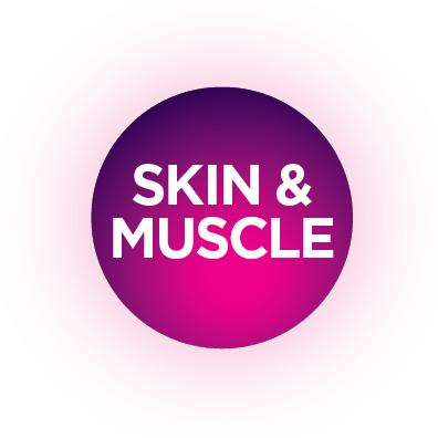 Emface_ICON_Skin-Muscle_Gradientpng
